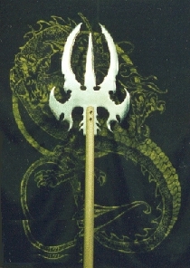 Pole arm
